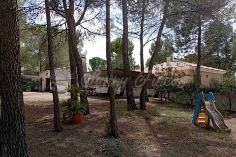 Landejendom i Ayora, Valencia, Ayora - € 186.000 | Ref: SF0459 - foto 34